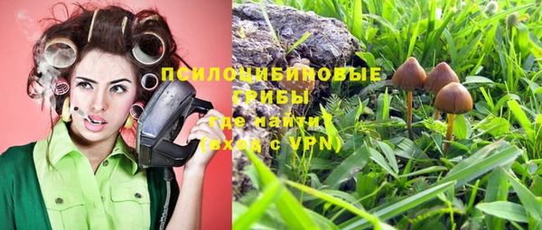 Альфа ПВП Беломорск