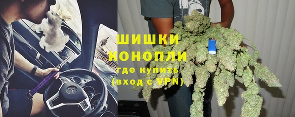 прущие грибы Белоозёрский
