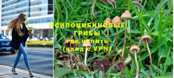 Альфа ПВП Беломорск
