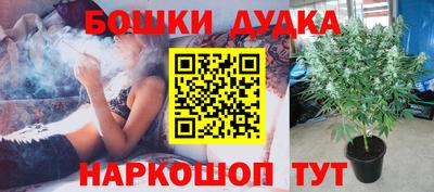 крисы Конаково